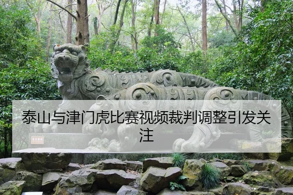 泰山与津门虎比赛视频裁判调整引发关注